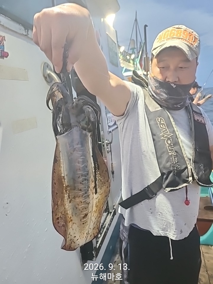 9월 14일 포항 무늬오징어 선상낚시 조황 현장 사진 18