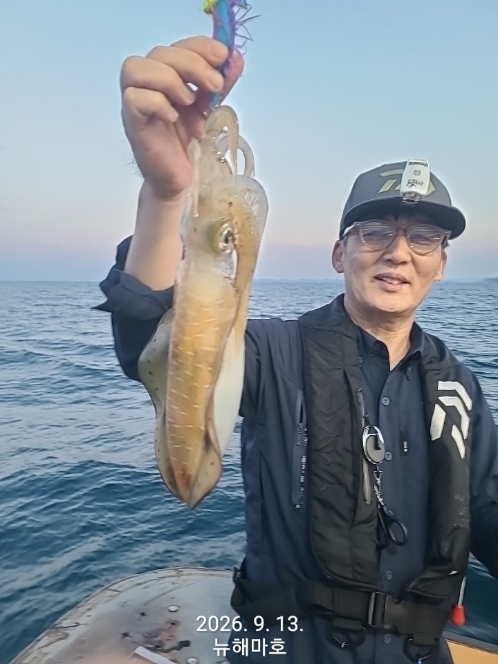 9월 14일 포항 무늬오징어 선상낚시 조황 현장 사진 19