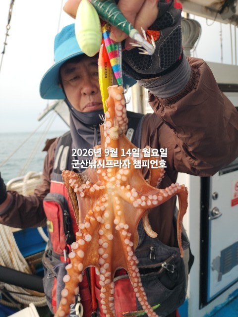 9월 14일 여수 문어 선상낚시 조황 현장 사진 6