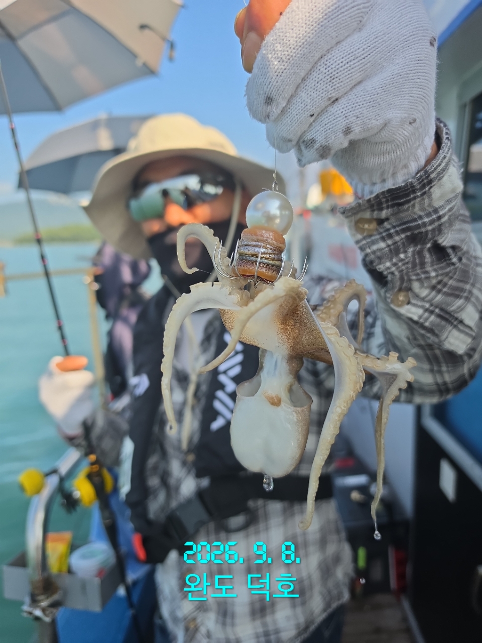 9월 14일 완도 주꾸미 선상낚시 조황 현장 사진 4