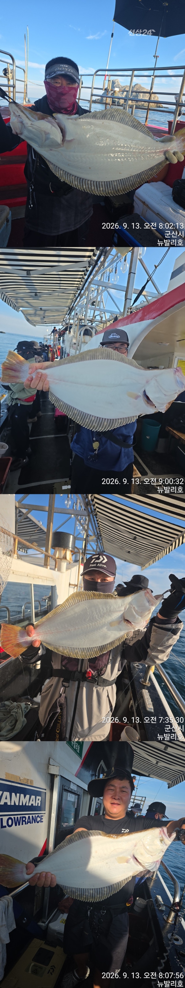 9월 14일 군산 갑오징어 선상낚시 조황 현장 사진 3