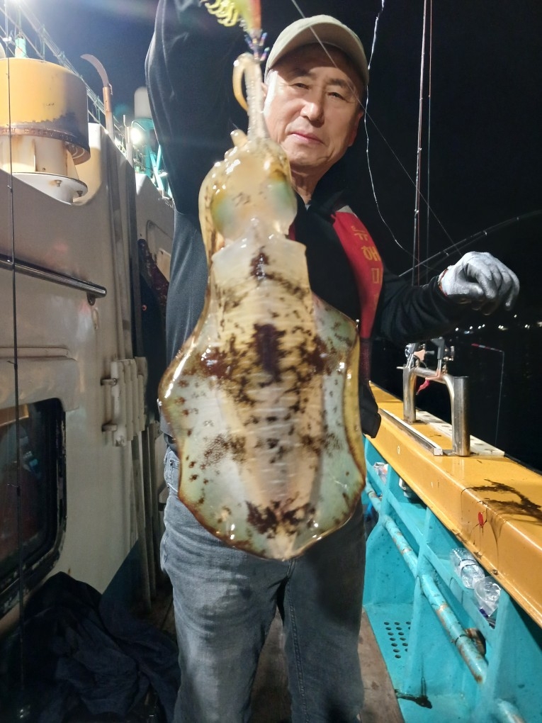 9월 14일 포항 무늬오징어 선상낚시 조황 현장 사진 30
