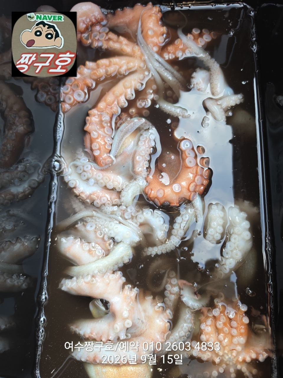 9월 15일 여수 문어 선상낚시 조황 현장 사진 3