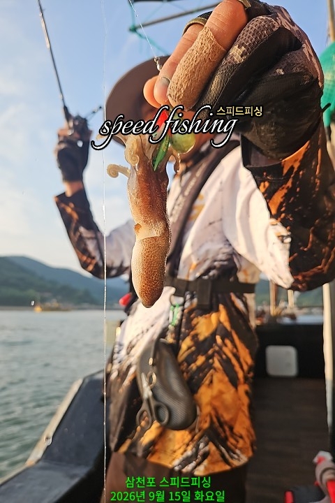 9월 15일 삼천포 주꾸미 선상낚시 조황 현장 사진 6