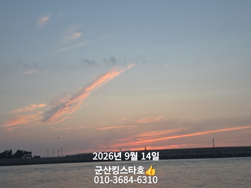 9월 14일 군산 주꾸미 선상낚시 조황 현장 사진 6