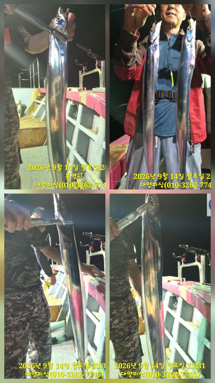 9월 15일 남해 갈치 선상낚시 조황 현장 사진 2