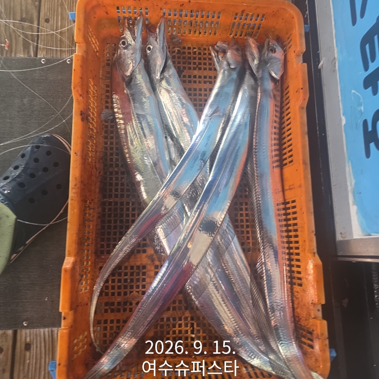 9월 15일 남해 갈치 선상낚시 조황 현장 사진 11