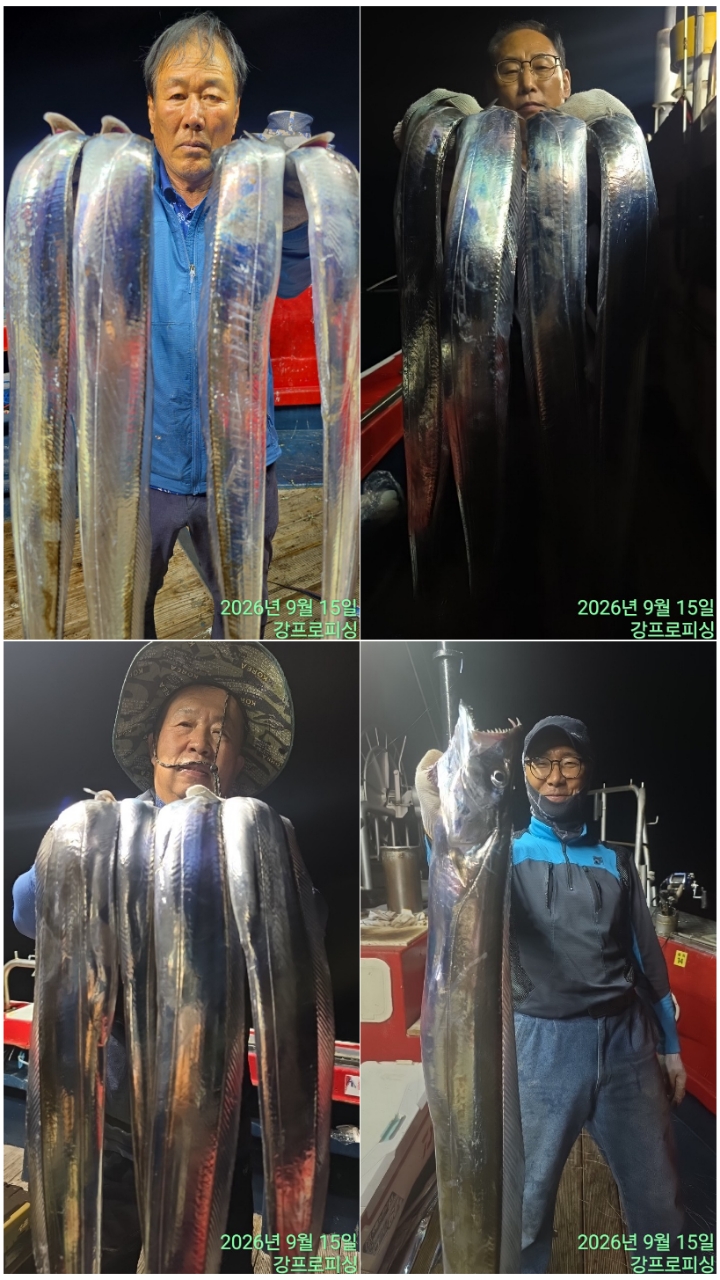 9월 16일 남해 갈치 선상낚시 조황 현장 사진 5