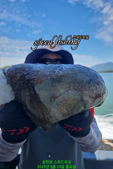 9월 14일 삼천포 문어 선상낚시 조황 현장 사진 10