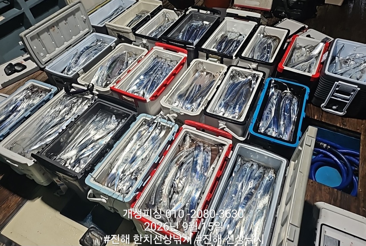 9월 15일 진해 갈치 선상낚시 조황 현장 사진 15
