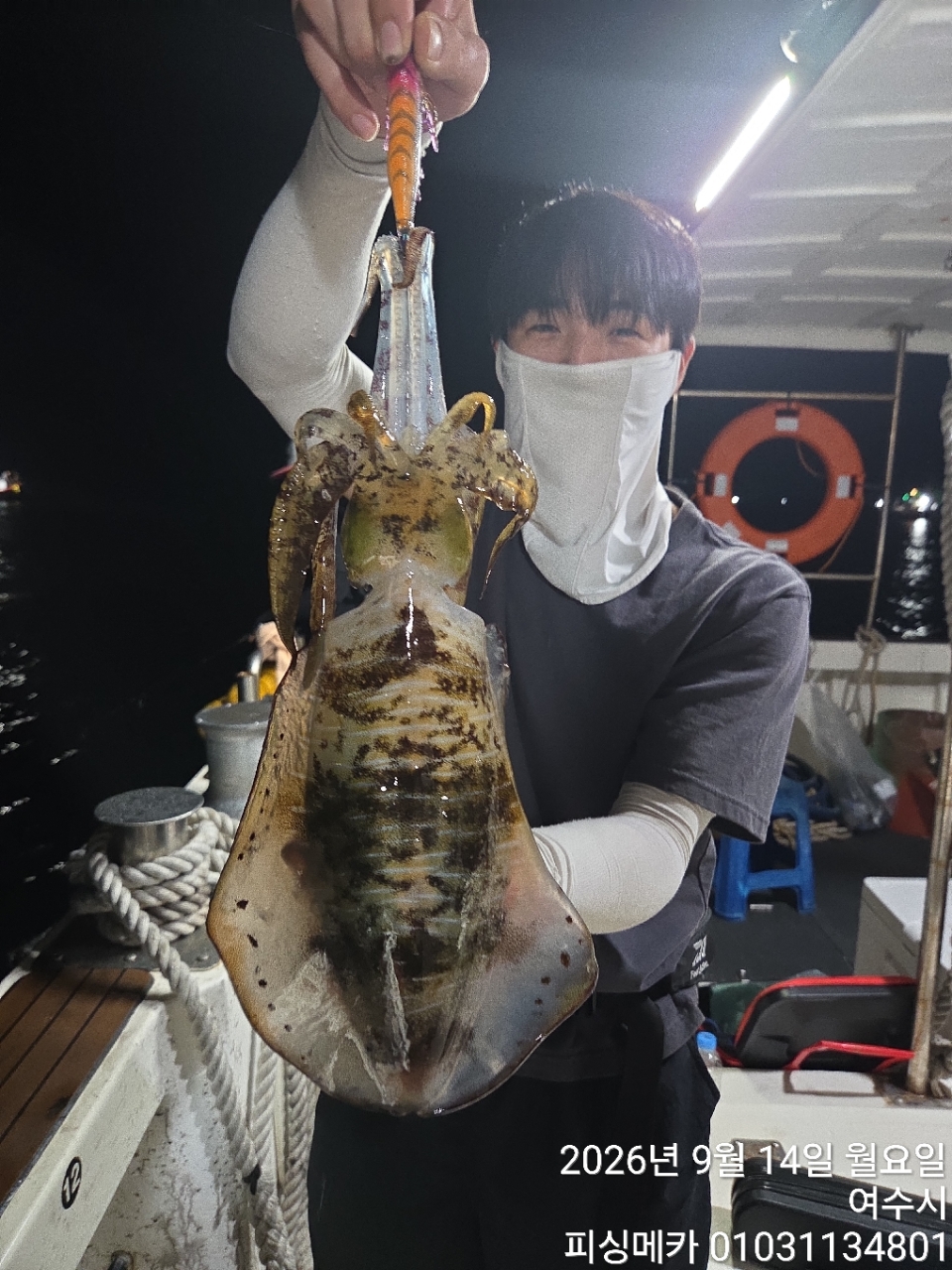 9월 15일 여수 무늬오징어 선상낚시 조황 현장 사진 8