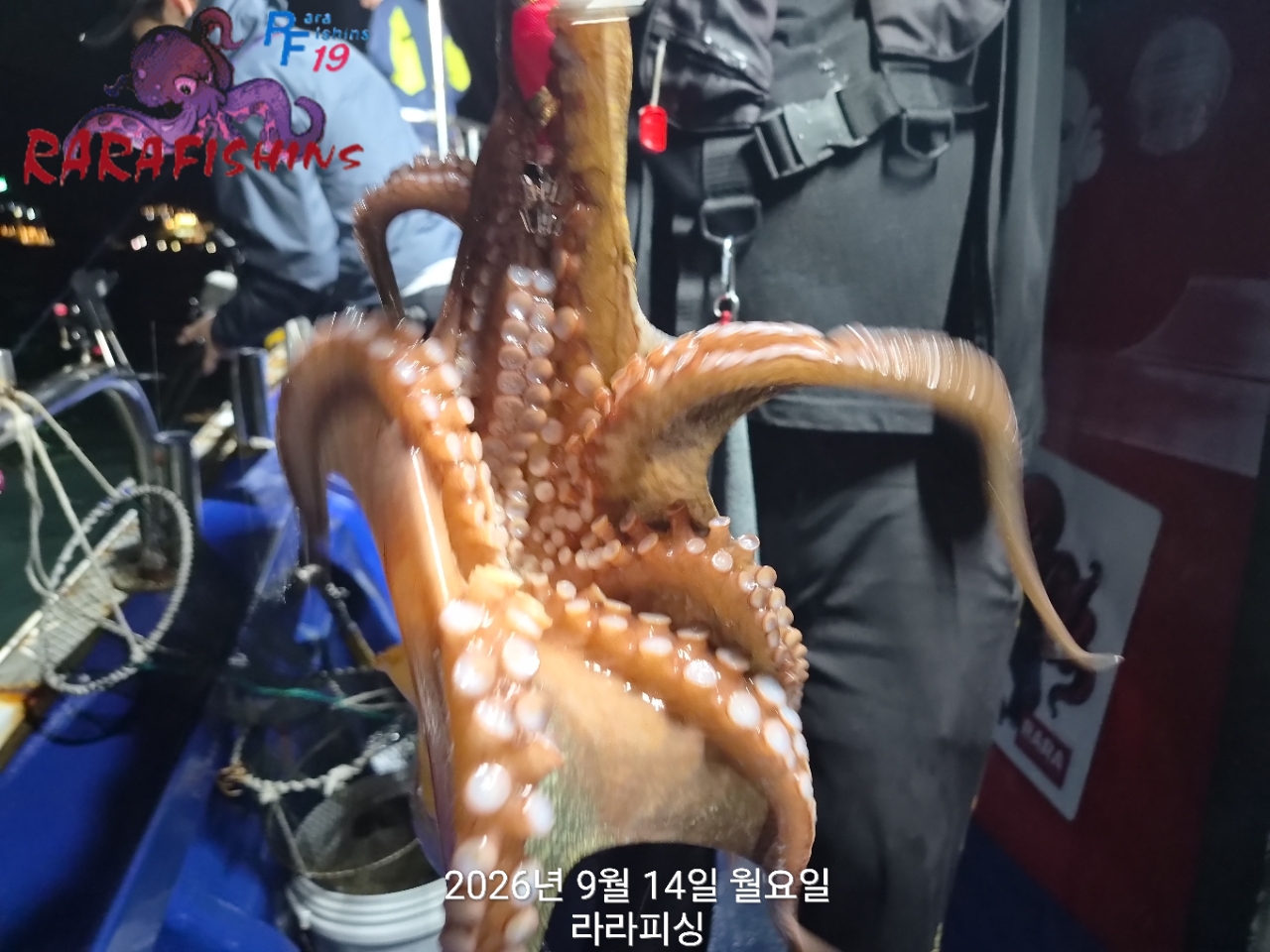 9월 14일 진해 문어 선상낚시 조황 현장 사진 8