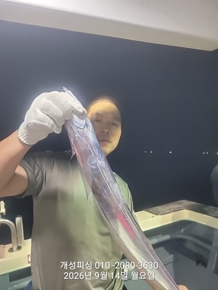 9월 15일 진해 갈치 선상낚시 조황 현장 사진 10