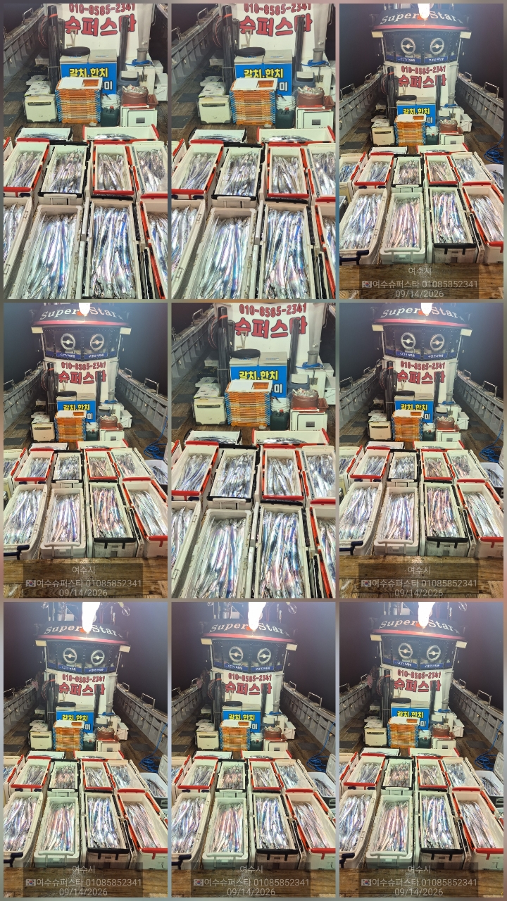 9월 15일 남해 갈치 선상낚시 조황 현장 사진 1
