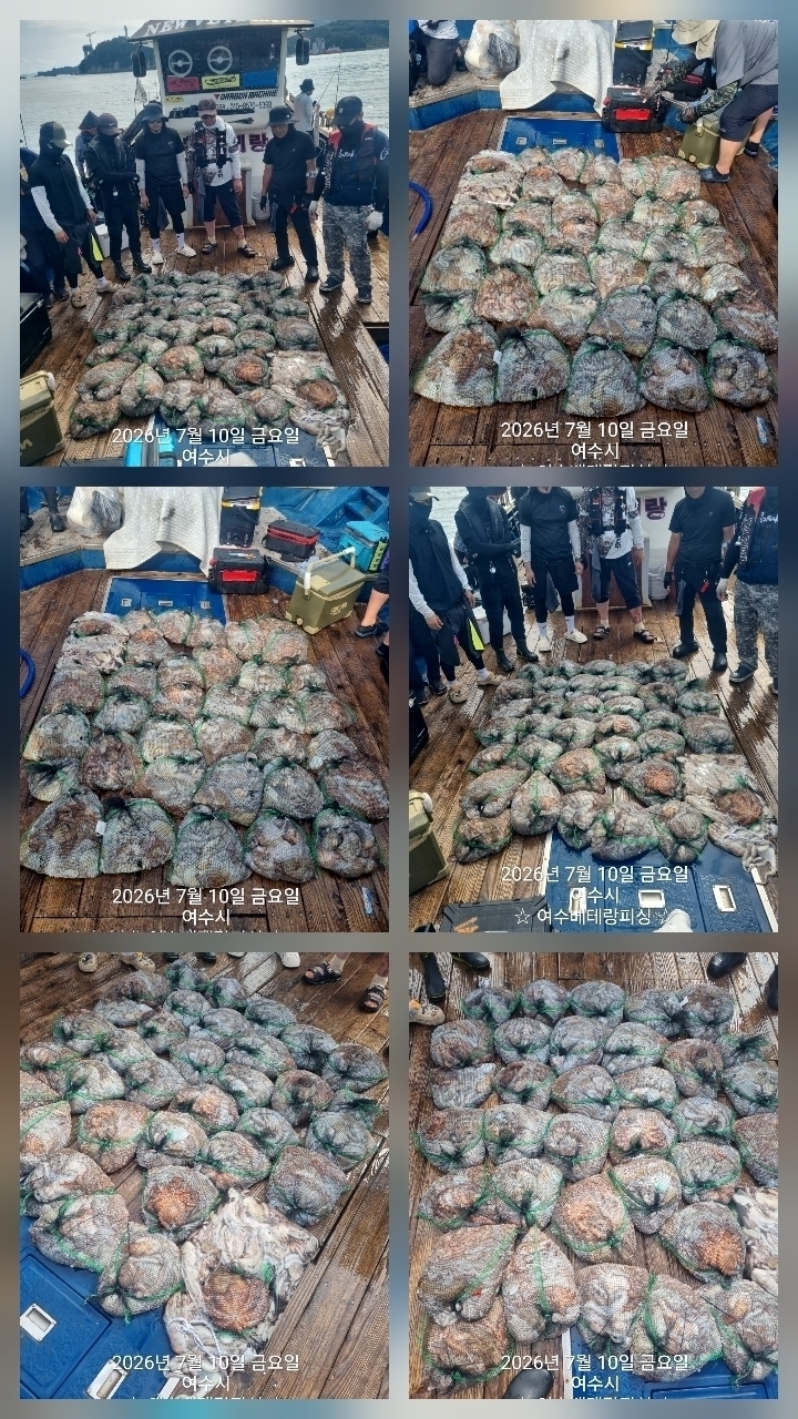 9월 14일 여수 문어 선상낚시 조황 현장 사진 5