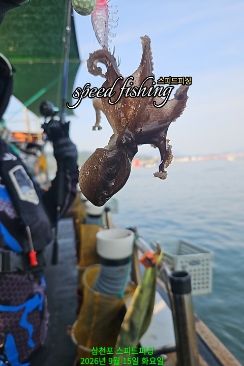 9월 15일 삼천포 주꾸미 선상낚시 조황 현장 사진 5