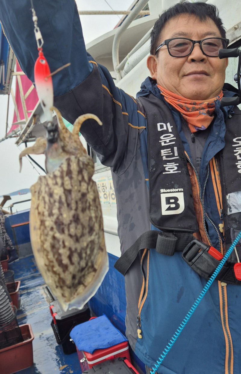 9월 14일 갑오징어 선상낚시 조황 현장 사진 9
