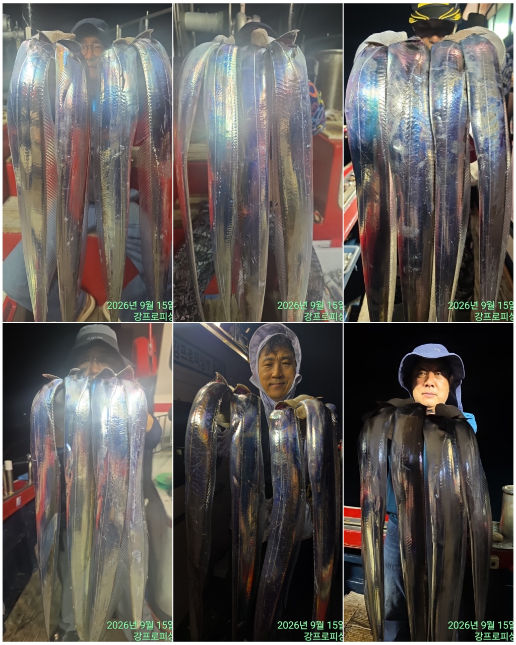 9월 16일 남해 갈치 선상낚시 조황 현장 사진 4