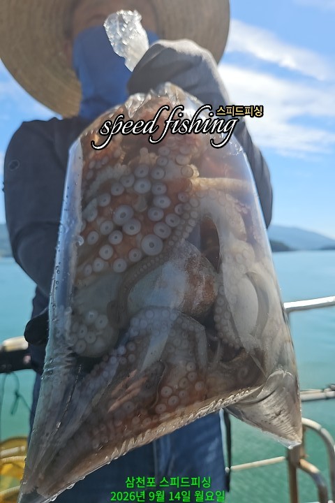 9월 14일 삼천포 문어 선상낚시 조황 현장 사진 8