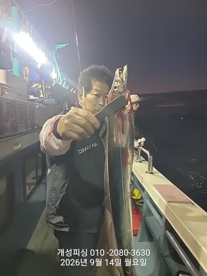 9월 15일 진해 갈치 선상낚시 조황 현장 사진 11