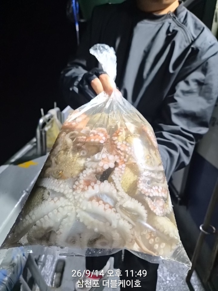 9월 14일 삼천포 문어 선상낚시 조황 현장 사진 8