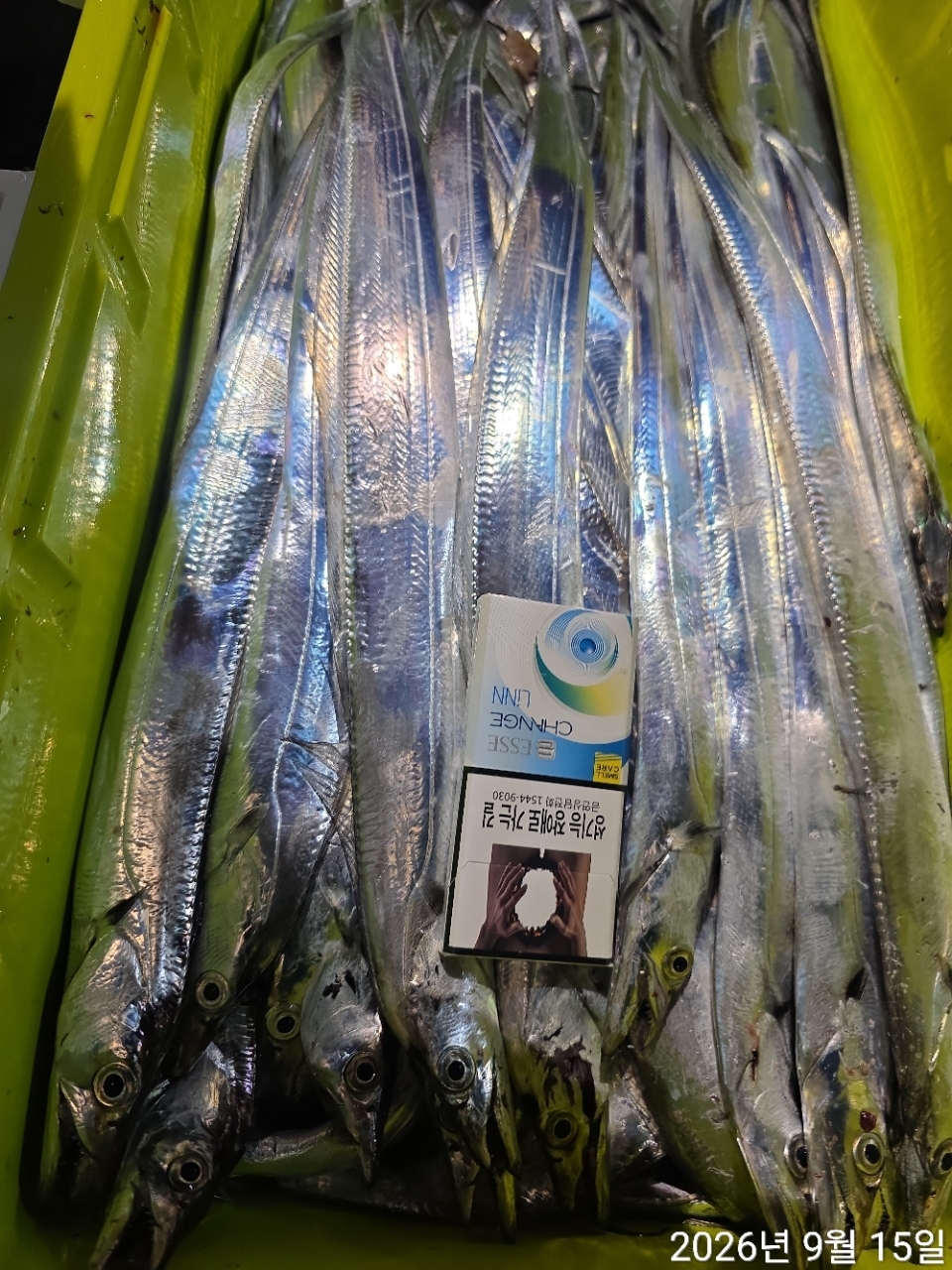 9월 14일 남해 갈치 선상낚시 조황 현장 사진 25