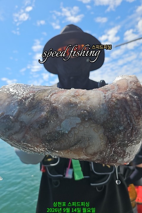 9월 14일 삼천포 문어 선상낚시 조황 현장 사진 3