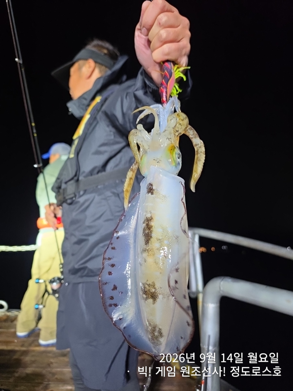 8월 14일 울산 무늬오징어 선상낚시 조황 현장 사진 28