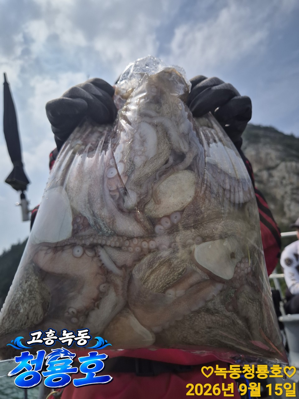 9월 15일 문어 선상낚시 조황 현장 사진 7