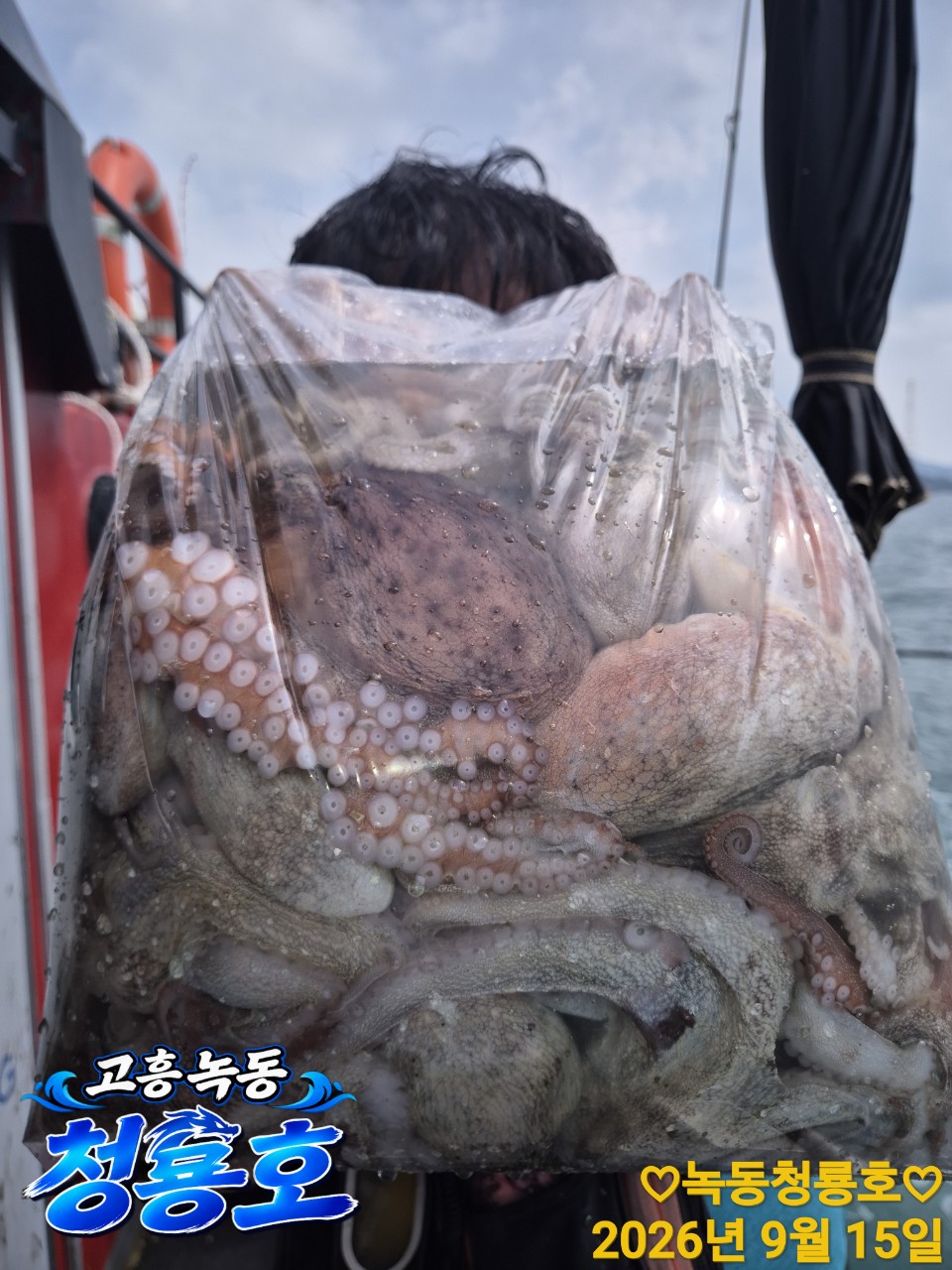 9월 15일 문어 선상낚시 조황 현장 사진 6