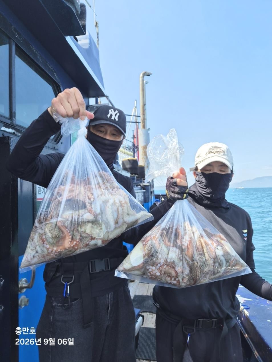 9월 15일 통영 문어 선상낚시 조황 현장 사진 2