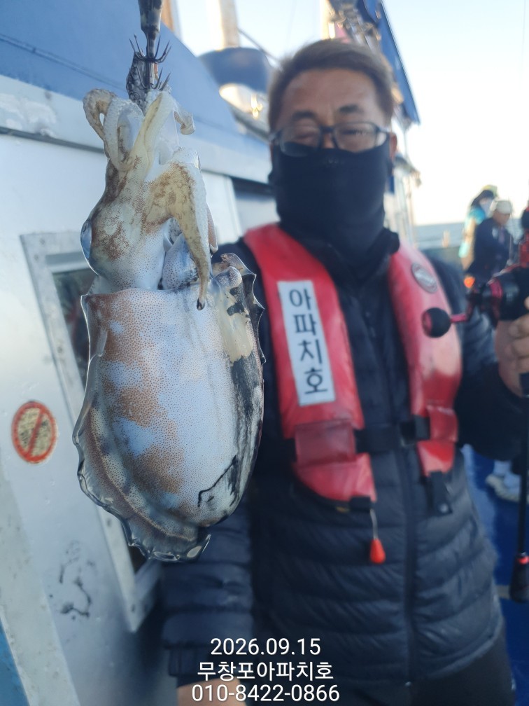9월 15일 포항 주꾸미 선상낚시 조황 현장 사진 14