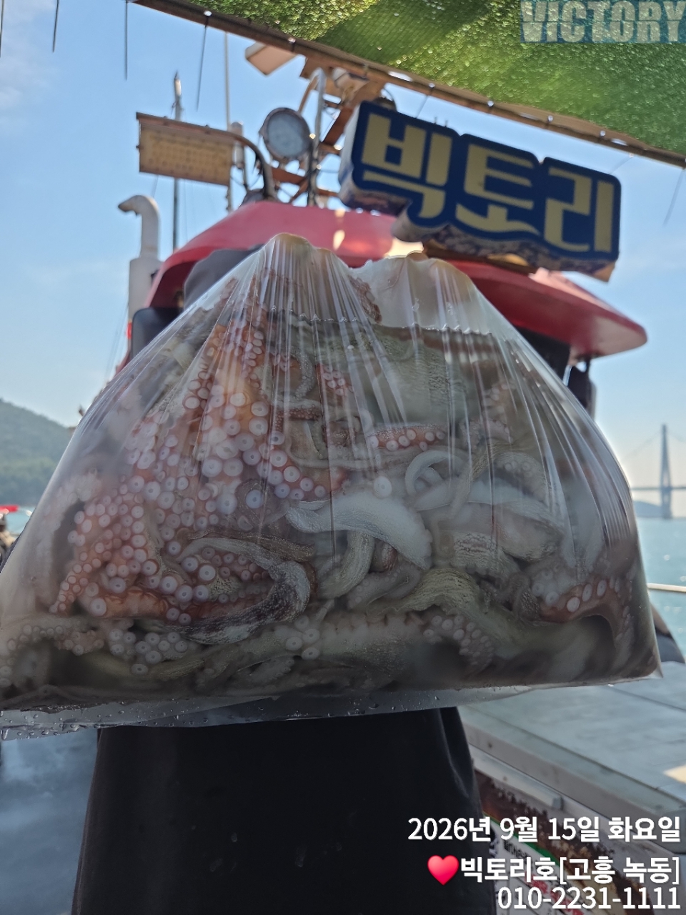 9월 15일 고흥 갑오징어 선상낚시 조황 현장 사진 1