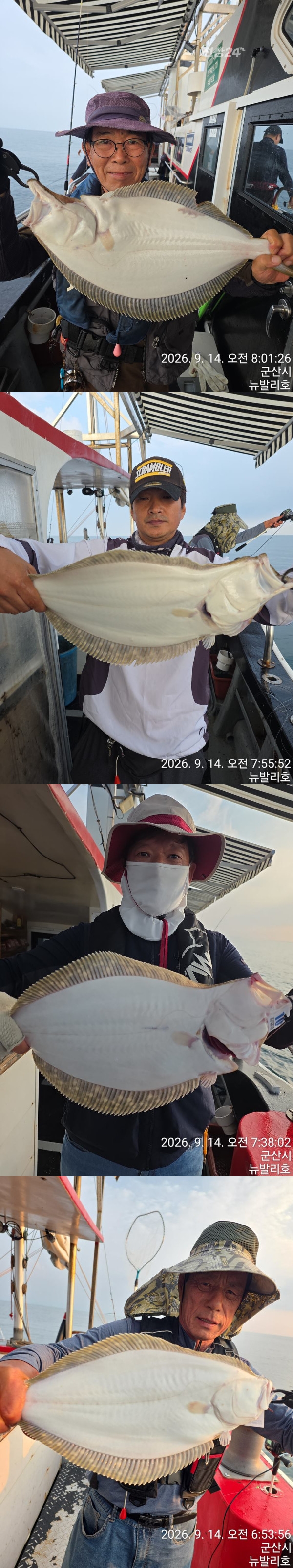 9월 15일 군산 갑오징어 선상낚시 조황 현장 사진 5