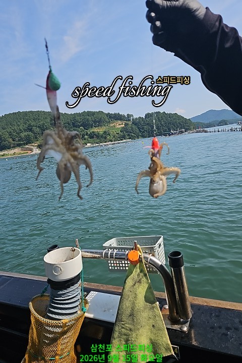 9월 15일 삼천포 주꾸미 선상낚시 조황 현장 사진 11