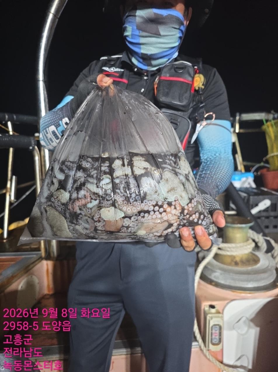 9월 15일 통영 문어 선상낚시 조황 현장 사진 5