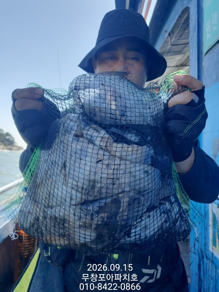 9월 15일 포항 주꾸미 선상낚시 조황 현장 사진 1