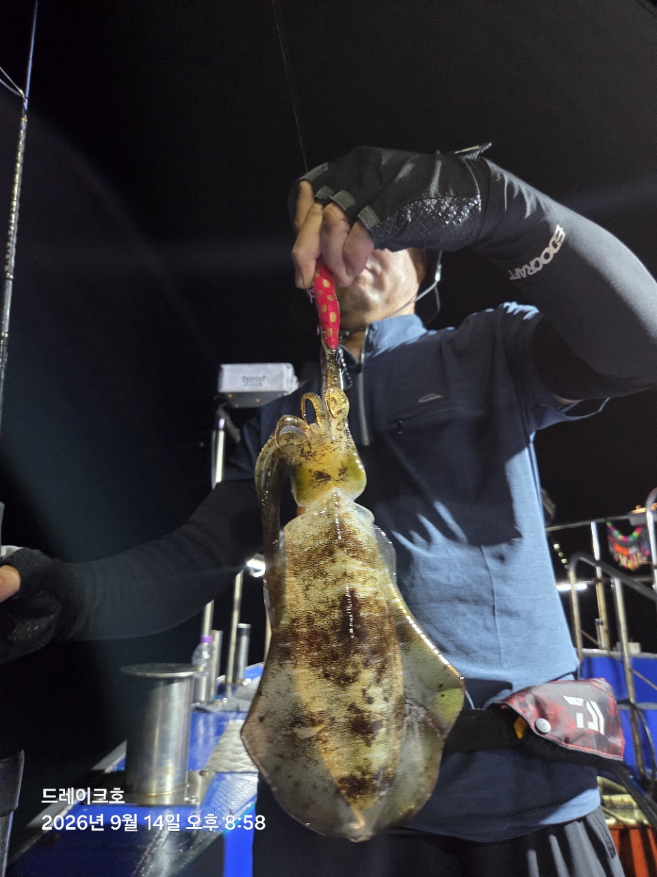 9월 15일 남해 무늬오징어 선상낚시 조황 현장 사진 1
