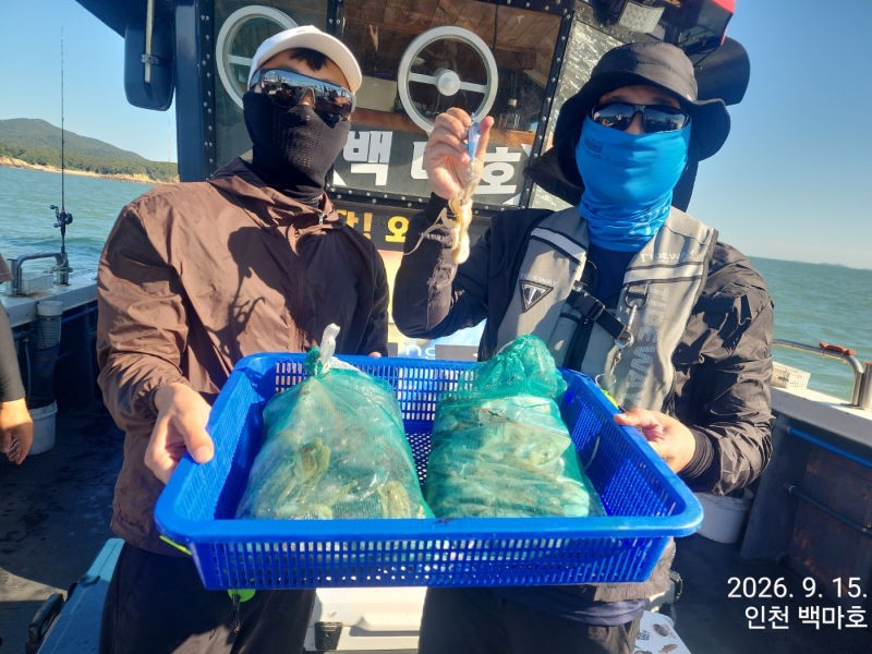 9월 15일 인천 갑오징어 선상낚시 조황 현장 사진 7