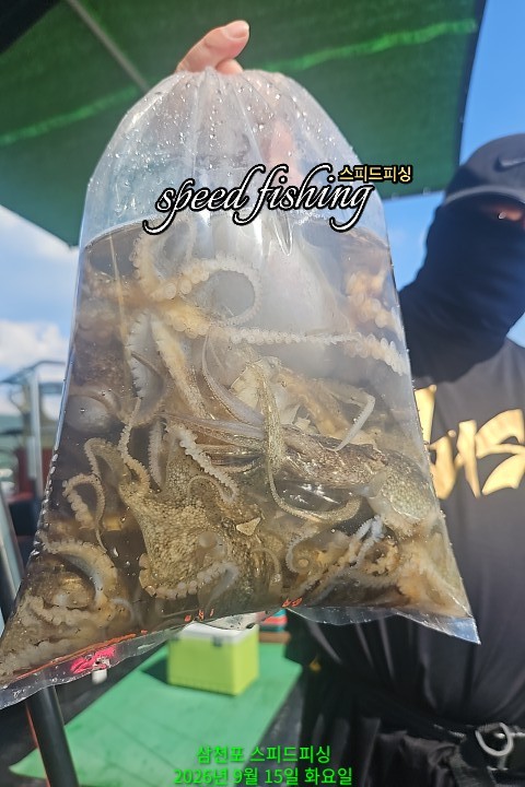 9월 15일 삼천포 주꾸미 선상낚시 조황 현장 사진 4
