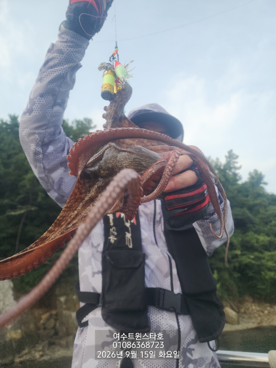 9월 15일 여수 문어 선상낚시 조황 현장 사진 13