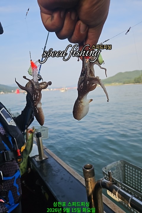9월 15일 삼천포 주꾸미 선상낚시 조황 현장 사진 6