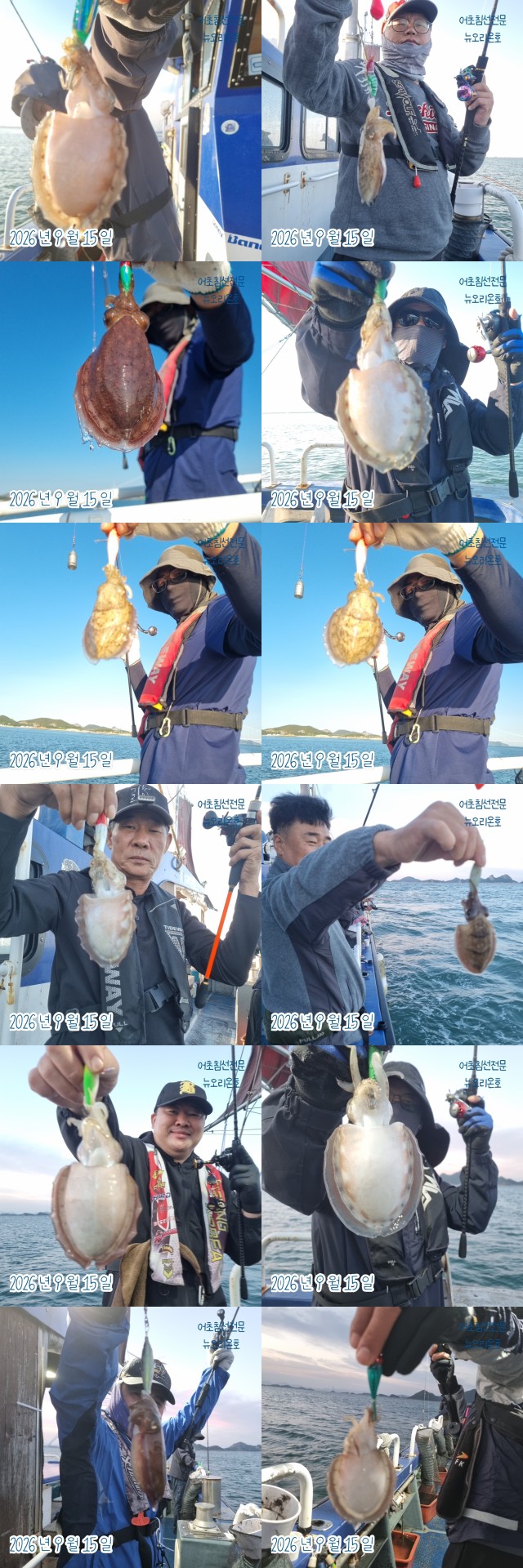 9월 15일 군산 갑오징어 선상낚시 조황 현장 사진 6