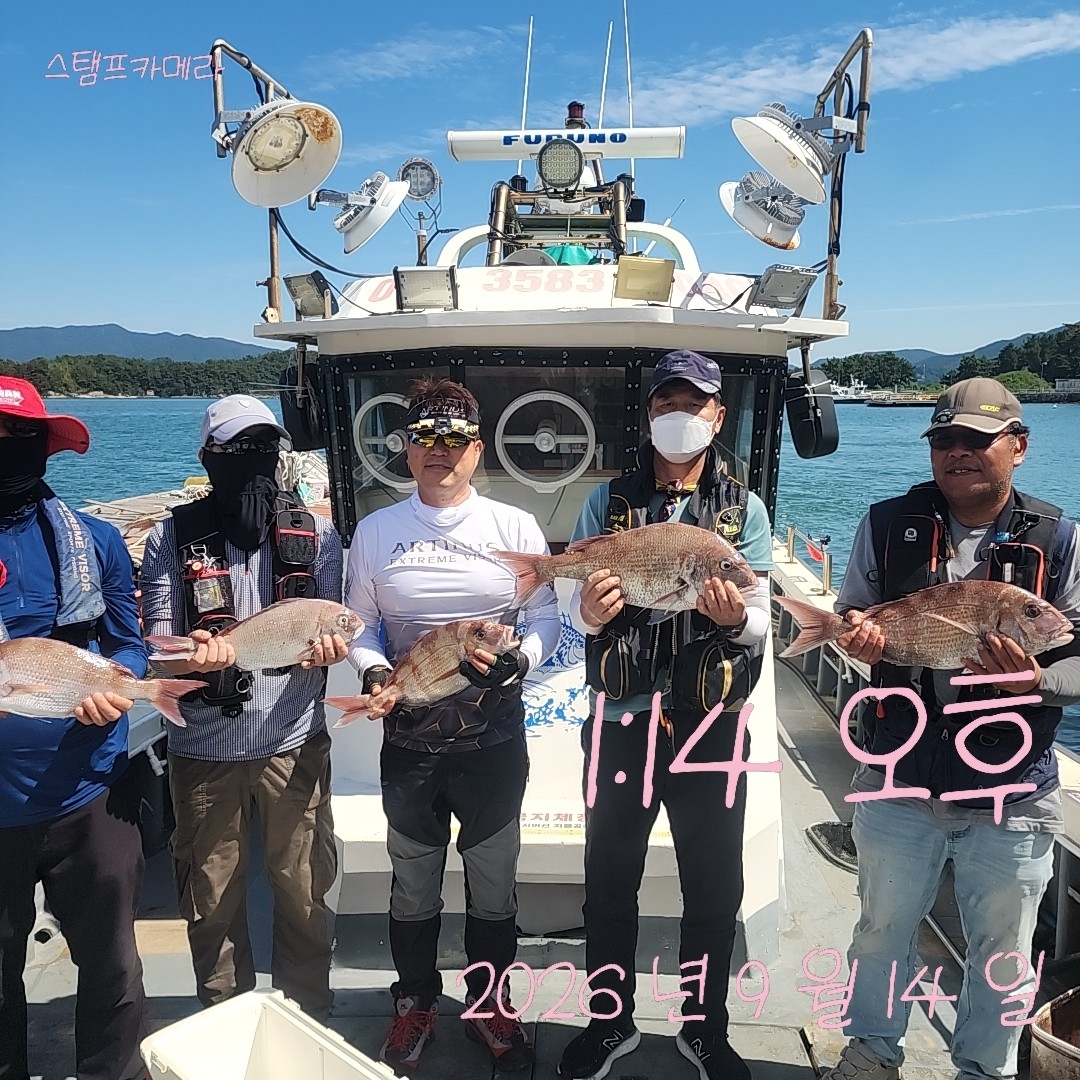 9월 15일 고성 감성돔 선상낚시 조황 현장 사진 1