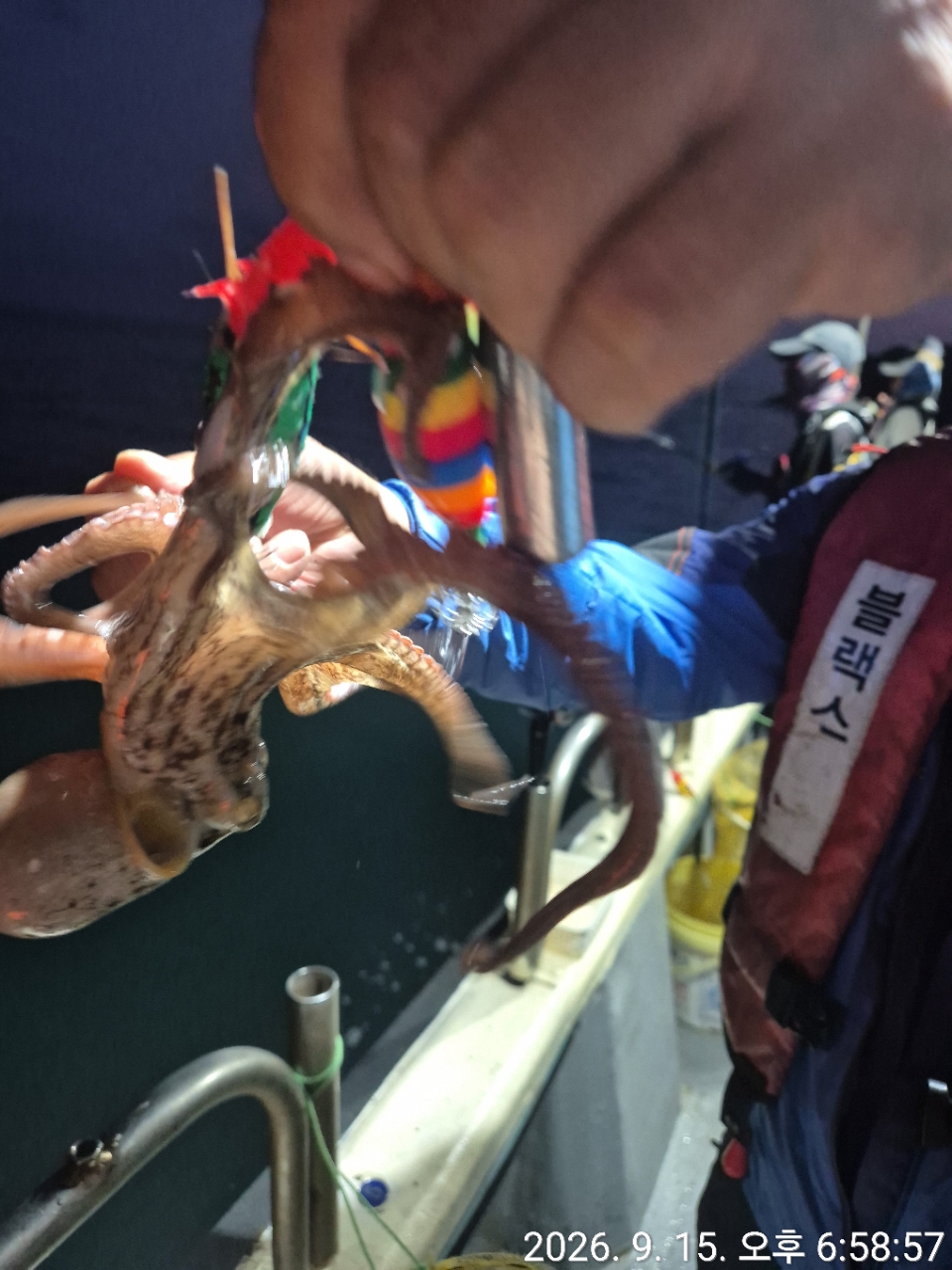 9월 15일 문어 선상낚시 조황 현장 사진 13