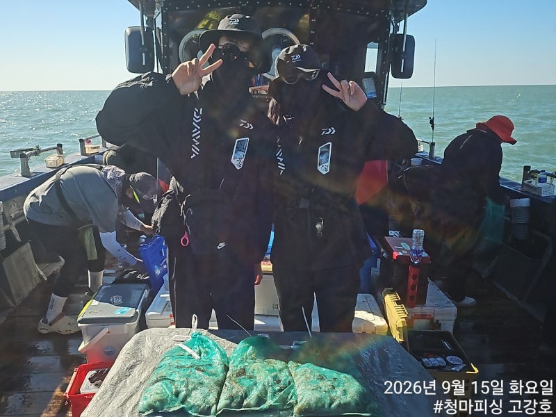 9월 15일 인천 갑오징어 선상낚시 조황 현장 사진 30