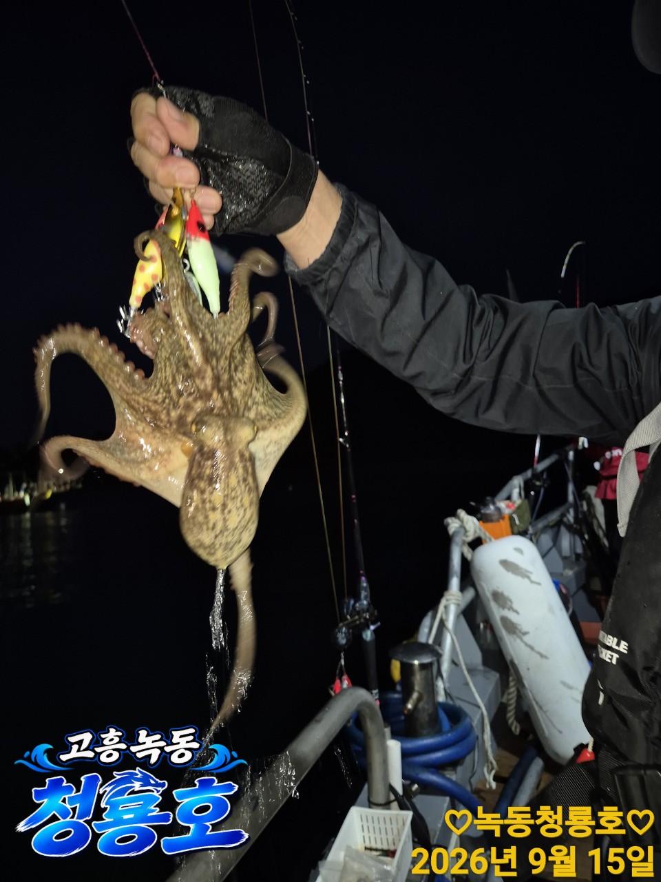9월 15일 문어 선상낚시 조황 현장 사진 19