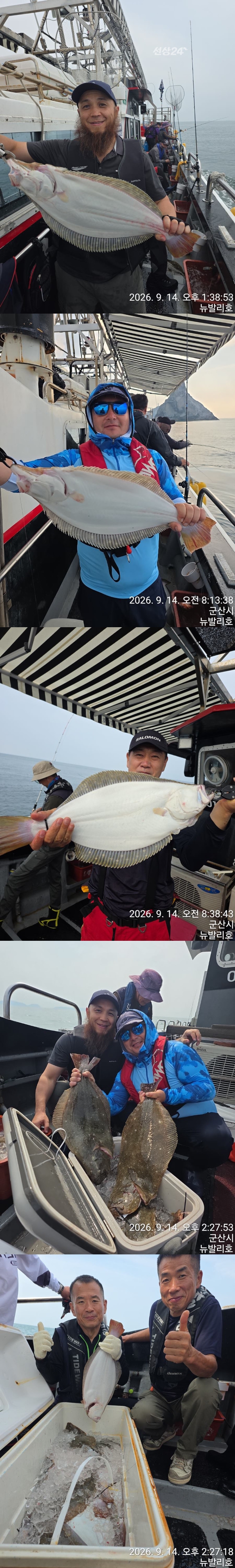 9월 15일 군산 갑오징어 선상낚시 조황 현장 사진 4