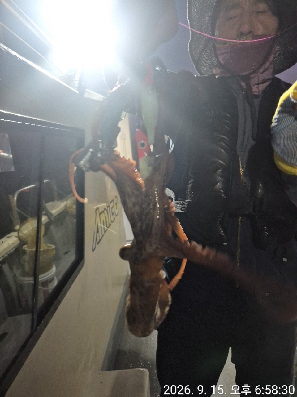 9월 15일 문어 선상낚시 조황 현장 사진 4