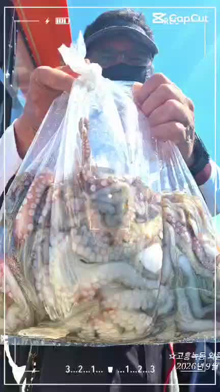 9월 15일 고흥 문어 선상낚시 조황 현장 사진 1